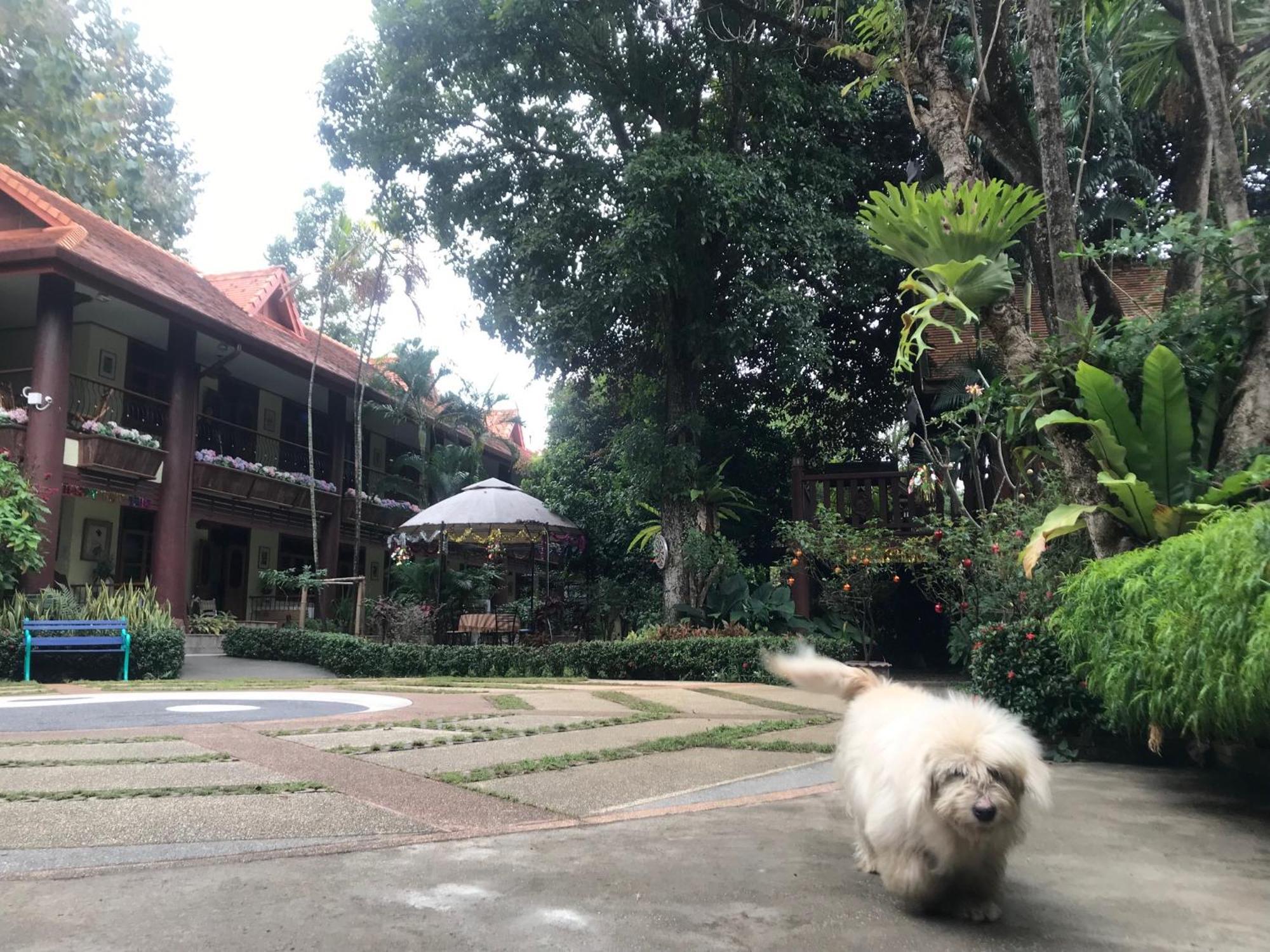 Kawila126 Hotell Chiang Mai Eksteriør bilde